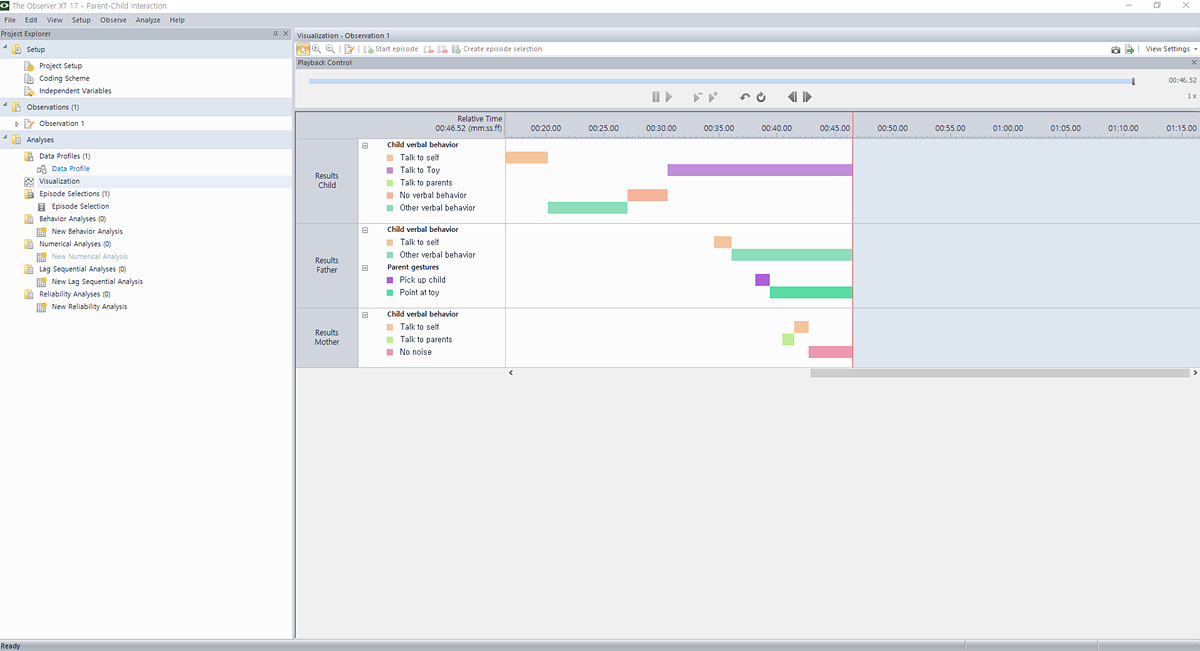 Visualization Parent-Child Interaction_Visualization